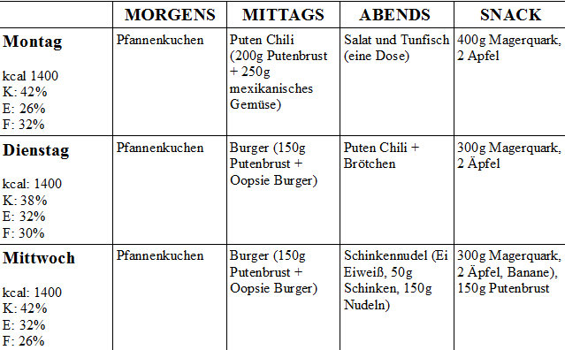 ernährungsplan abnehmen pdf